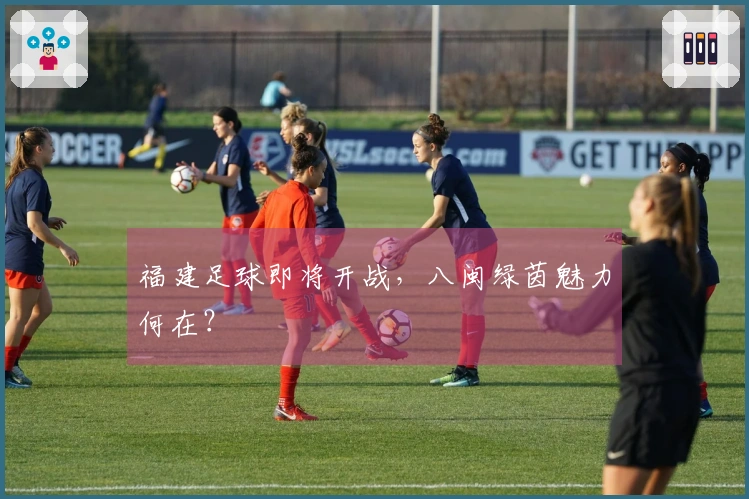 福建足球即将开战，八闽绿茵魅力何在？