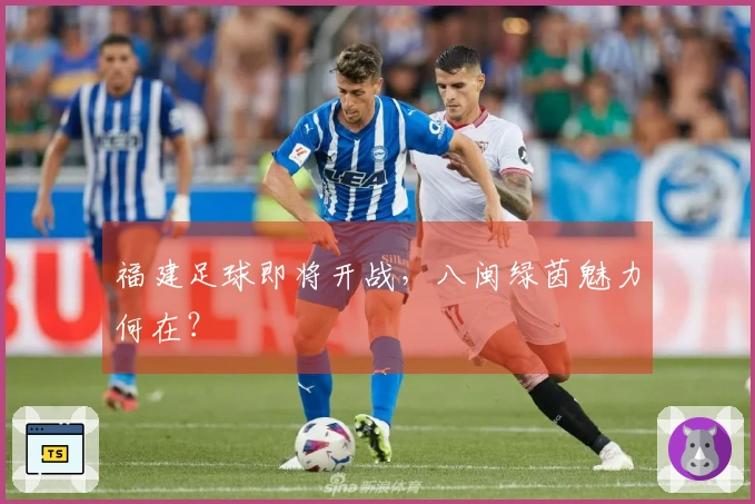 福建足球即将开战，八闽绿茵魅力何在？