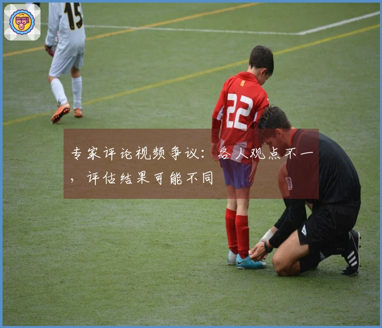 专家评论视频争议：各人观点不一，评估结果可能不同