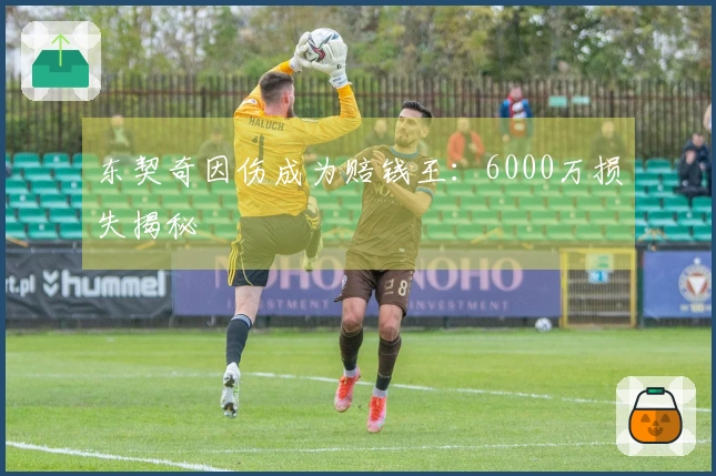 东契奇因伤成为赔钱王：6000万损失揭秘