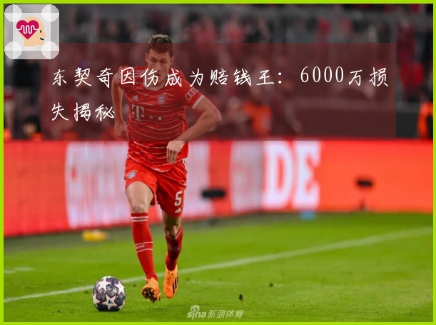 东契奇因伤成为赔钱王：6000万损失揭秘
