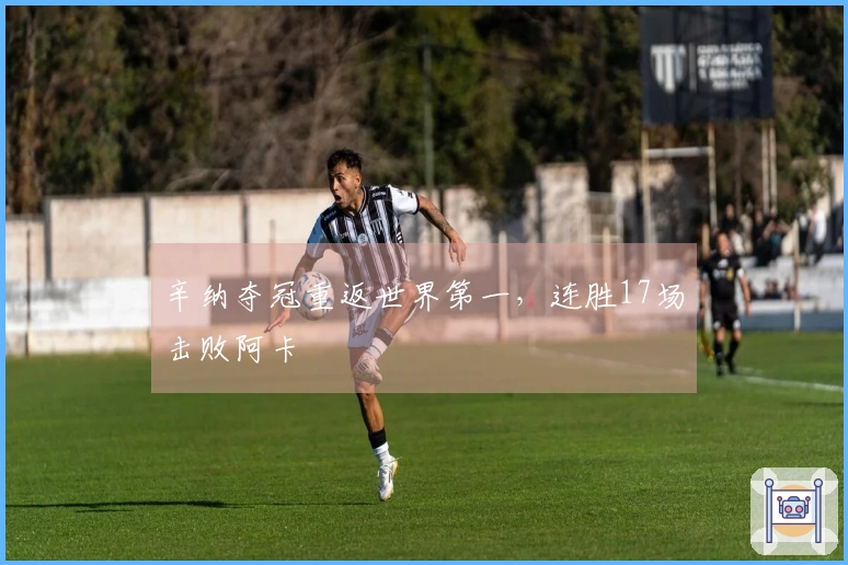 辛纳夺冠重返世界第一，连胜17场击败阿卡