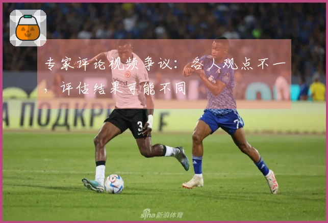 专家评论视频争议：各人观点不一，评估结果可能不同